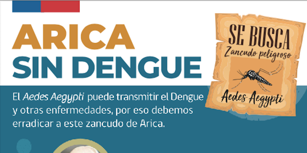 Información y Precauciones Zancudo Aedes Aegypti